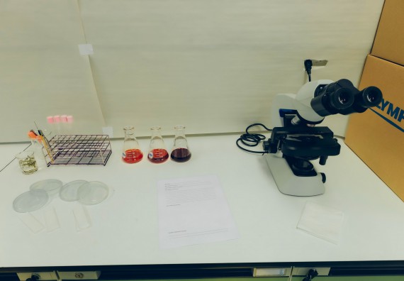 ภาพกิจกรรม  คณะวิทยาศาสตร์และเทคโนโลยี จัดการแข่งขันทักษะทางวิทยาศาสตร์และเทคโนโลยี ระดับมัธยมศึกษาตอนต้น มัธยมศึกษาตอนปลาย งานสัปดาห์วิทยาศาสตร์แห่งชาติ ส่วนภูมิภาค ประจำปี 2566