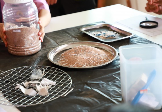 ภาพกิจกรรม  คณะวิทยาศาสตร์และเทคโนโลยี จัดค่ายวิทยาศาสตร์สัญจร ปีการศึกษา 2566  โรงเรียนคลองขลุงราษฎร์รังสรรค์