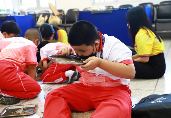 ภาพกิจกรรม  โครงการฝึกทักษะเพื่อพัฒนาอัจฉริยะภาพวิทยาศาสตร์ กิจกรรมค่ายวิทยาศาสตร์รุ่นจิ๋ว สำหรับนักเรียนห้องเรียนพิเศษคณิตศาสตร์ และวิทยาศาสตร์ (MSP)