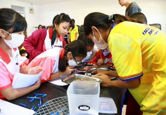 ภาพกิจกรรม  โครงการฝึกทักษะเพื่อพัฒนาอัจฉริยะภาพวิทยาศาสตร์ กิจกรรมค่ายวิทยาศาสตร์รุ่นจิ๋ว สำหรับนักเรียนห้องเรียนพิเศษคณิตศาสตร์ และวิทยาศาสตร์ (MSP)