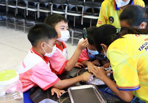 ภาพกิจกรรม  โครงการฝึกทักษะเพื่อพัฒนาอัจฉริยะภาพวิทยาศาสตร์ กิจกรรมค่ายวิทยาศาสตร์รุ่นจิ๋ว สำหรับนักเรียนห้องเรียนพิเศษคณิตศาสตร์ และวิทยาศาสตร์ (MSP)