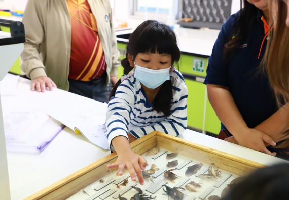 ภาพกิจกรรม  โครงการฝึกทักษะเพื่อพัฒนาอัจฉริยะภาพวิทยาศาสตร์ กิจกรรมค่ายวิทยาศาสตร์รุ่นจิ๋ว สำหรับนักเรียนห้องเรียนพิเศษคณิตศาสตร์ และวิทยาศาสตร์ (MSP)