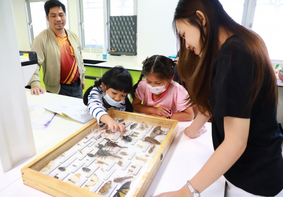 ภาพกิจกรรม  โครงการฝึกทักษะเพื่อพัฒนาอัจฉริยะภาพวิทยาศาสตร์ กิจกรรมค่ายวิทยาศาสตร์รุ่นจิ๋ว สำหรับนักเรียนห้องเรียนพิเศษคณิตศาสตร์ และวิทยาศาสตร์ (MSP)