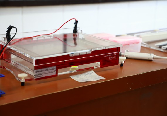 ภาพกิจกรรม  คณะวิทยาศาสตร์และเทคโนโลยี จัดค่ายวิทยาศาสตร์สัญจร ปีการศึกษา 2566  โรงเรียนผดุงปัญญา