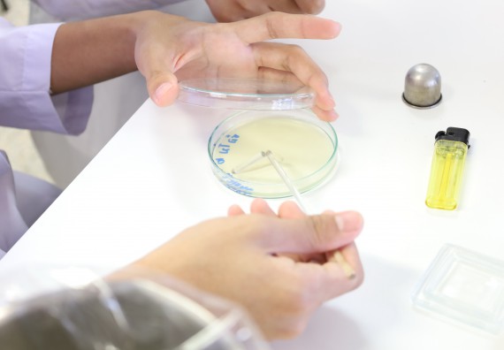 ภาพกิจกรรม  คณะวิทยาศาสตร์และเทคโนโลยี ร่วมกับโรงเรียนพิจิตรพิทยาคม จัดโครงการพัฒนาผู้เรียนมีผลสัมฤทธิ์ทางวิชาการ กิจกรรมพัฒนาศักยภาพนักเรียนห้องเรียนพิเศษวิทยาศาสตร์ฯ SMAT