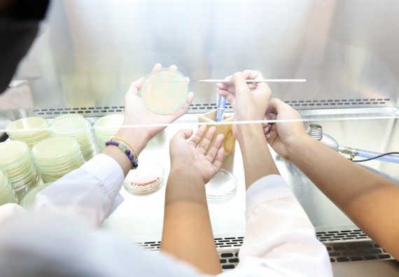 ภาพกิจกรรม  คณะวิทยาศาสตร์และเทคโนโลยี ร่วมกับโรงเรียนพิจิตรพิทยาคม จัดโครงการพัฒนาผู้เรียนมีผลสัมฤทธิ์ทางวิชาการ กิจกรรมพัฒนาศักยภาพนักเรียนห้องเรียนพิเศษวิทยาศาสตร์ฯ SMAT