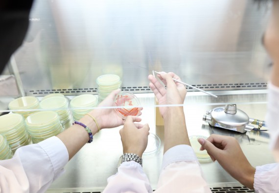 ภาพกิจกรรม  คณะวิทยาศาสตร์และเทคโนโลยี ร่วมกับโรงเรียนพิจิตรพิทยาคม จัดโครงการพัฒนาผู้เรียนมีผลสัมฤทธิ์ทางวิชาการ กิจกรรมพัฒนาศักยภาพนักเรียนห้องเรียนพิเศษวิทยาศาสตร์ฯ SMAT