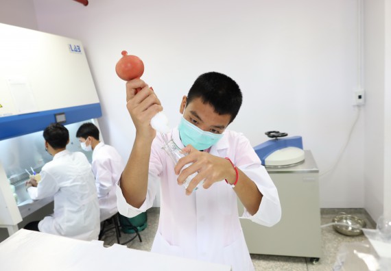 ภาพกิจกรรม  คณะวิทยาศาสตร์และเทคโนโลยี ร่วมกับโรงเรียนพิจิตรพิทยาคม จัดโครงการพัฒนาผู้เรียนมีผลสัมฤทธิ์ทางวิชาการ กิจกรรมพัฒนาศักยภาพนักเรียนห้องเรียนพิเศษวิทยาศาสตร์ฯ SMAT