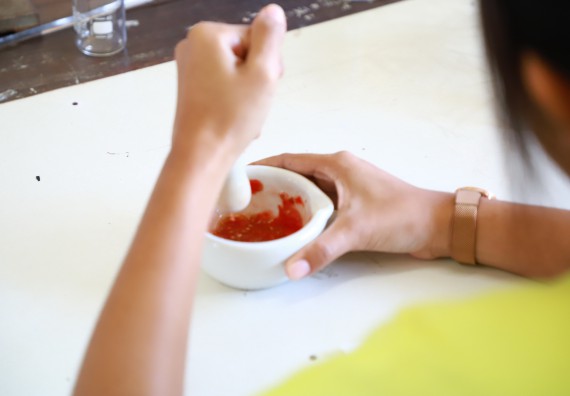 คณะวิทยาศาสตร์และเทคโนโลยี จัดค่ายวิทยาศาสตร์สัญจร ปีการศึกษา 2566  โรงเรียนทุ่งโพธิ์ทะเลพิทยา