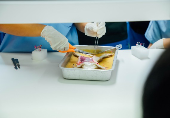 ภาพกิจกรรม คณะวิทยาศาสตร์และเทคโนโลยี ร่วมกับโรงเรียนคลองลานวิทยา จัดโครงการส่งเสริมและพัฒนาศักยภาพนักเรียนห้องเรียนพิเศษ