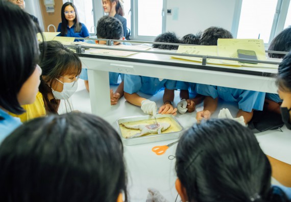 ภาพกิจกรรม คณะวิทยาศาสตร์และเทคโนโลยี ร่วมกับโรงเรียนคลองลานวิทยา จัดโครงการส่งเสริมและพัฒนาศักยภาพนักเรียนห้องเรียนพิเศษ