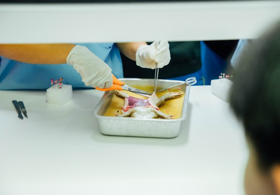 ภาพกิจกรรม คณะวิทยาศาสตร์และเทคโนโลยี ร่วมกับโรงเรียนคลองลานวิทยา จัดโครงการส่งเสริมและพัฒนาศักยภาพนักเรียนห้องเรียนพิเศษ