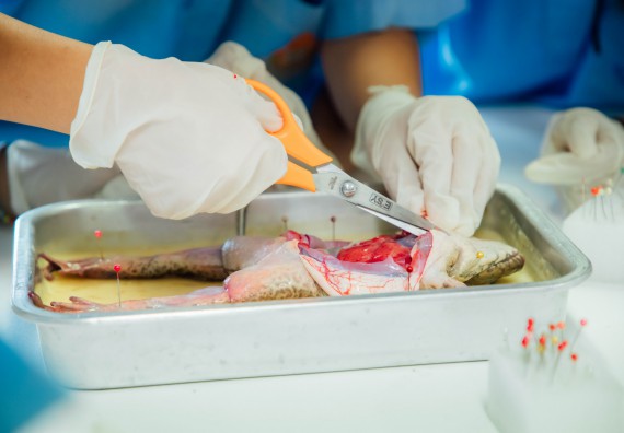 ภาพกิจกรรม คณะวิทยาศาสตร์และเทคโนโลยี ร่วมกับโรงเรียนคลองลานวิทยา จัดโครงการส่งเสริมและพัฒนาศักยภาพนักเรียนห้องเรียนพิเศษ