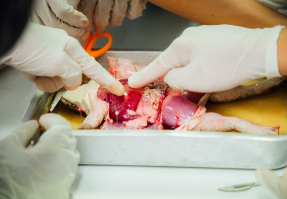 ภาพกิจกรรม คณะวิทยาศาสตร์และเทคโนโลยี ร่วมกับโรงเรียนคลองลานวิทยา จัดโครงการส่งเสริมและพัฒนาศักยภาพนักเรียนห้องเรียนพิเศษ