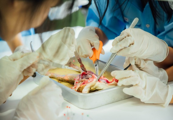 ภาพกิจกรรม คณะวิทยาศาสตร์และเทคโนโลยี ร่วมกับโรงเรียนคลองลานวิทยา จัดโครงการส่งเสริมและพัฒนาศักยภาพนักเรียนห้องเรียนพิเศษ