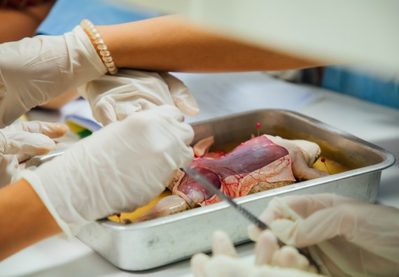 ภาพกิจกรรม คณะวิทยาศาสตร์และเทคโนโลยี ร่วมกับโรงเรียนคลองลานวิทยา จัดโครงการส่งเสริมและพัฒนาศักยภาพนักเรียนห้องเรียนพิเศษ