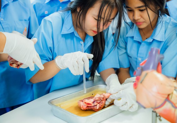 ภาพกิจกรรม คณะวิทยาศาสตร์และเทคโนโลยี ร่วมกับโรงเรียนคลองลานวิทยา จัดโครงการส่งเสริมและพัฒนาศักยภาพนักเรียนห้องเรียนพิเศษ