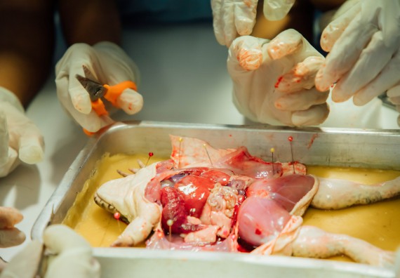 ภาพกิจกรรม คณะวิทยาศาสตร์และเทคโนโลยี ร่วมกับโรงเรียนคลองลานวิทยา จัดโครงการส่งเสริมและพัฒนาศักยภาพนักเรียนห้องเรียนพิเศษ