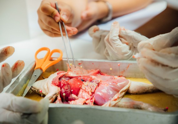 ภาพกิจกรรม คณะวิทยาศาสตร์และเทคโนโลยี ร่วมกับโรงเรียนคลองลานวิทยา จัดโครงการส่งเสริมและพัฒนาศักยภาพนักเรียนห้องเรียนพิเศษ