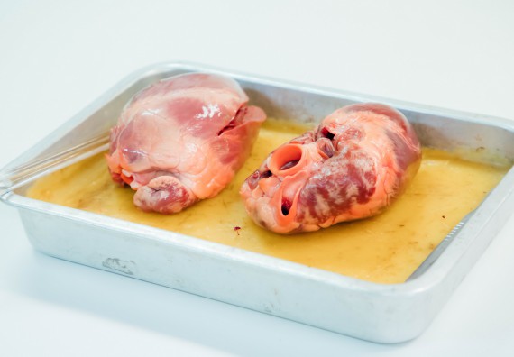 ภาพกิจกรรม คณะวิทยาศาสตร์และเทคโนโลยี ร่วมกับโรงเรียนคลองลานวิทยา จัดโครงการส่งเสริมและพัฒนาศักยภาพนักเรียนห้องเรียนพิเศษ