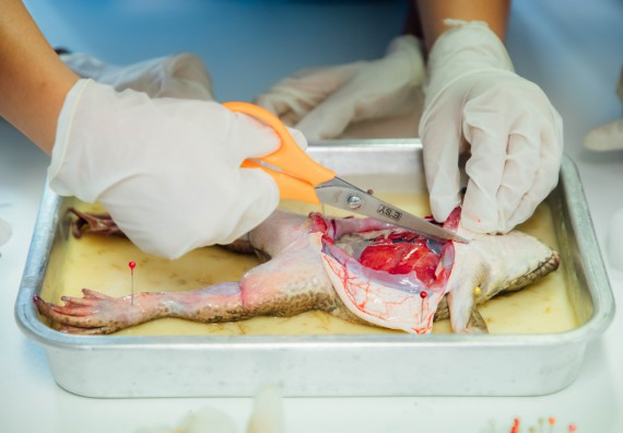 ภาพกิจกรรม คณะวิทยาศาสตร์และเทคโนโลยี ร่วมกับโรงเรียนคลองลานวิทยา จัดโครงการส่งเสริมและพัฒนาศักยภาพนักเรียนห้องเรียนพิเศษ