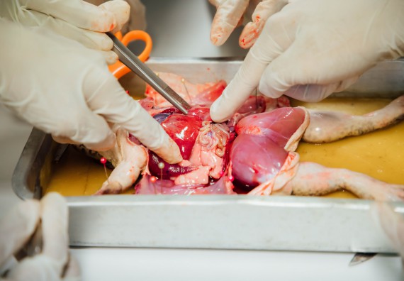 ภาพกิจกรรม คณะวิทยาศาสตร์และเทคโนโลยี ร่วมกับโรงเรียนคลองลานวิทยา จัดโครงการส่งเสริมและพัฒนาศักยภาพนักเรียนห้องเรียนพิเศษ