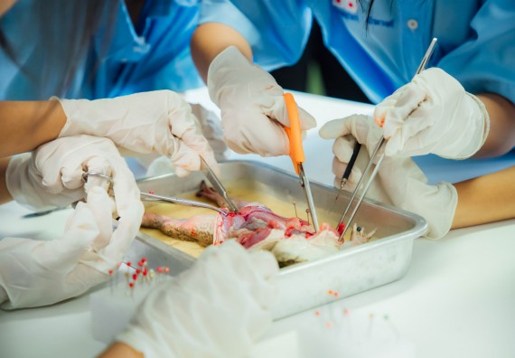 ภาพกิจกรรม คณะวิทยาศาสตร์และเทคโนโลยี ร่วมกับโรงเรียนคลองลานวิทยา จัดโครงการส่งเสริมและพัฒนาศักยภาพนักเรียนห้องเรียนพิเศษ