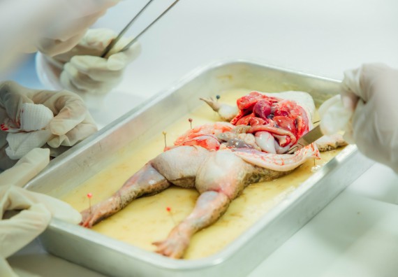 ภาพกิจกรรม คณะวิทยาศาสตร์และเทคโนโลยี ร่วมกับโรงเรียนคลองลานวิทยา จัดโครงการส่งเสริมและพัฒนาศักยภาพนักเรียนห้องเรียนพิเศษ