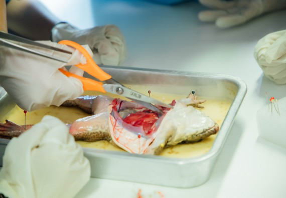 ภาพกิจกรรม คณะวิทยาศาสตร์และเทคโนโลยี ร่วมกับโรงเรียนคลองลานวิทยา จัดโครงการส่งเสริมและพัฒนาศักยภาพนักเรียนห้องเรียนพิเศษ