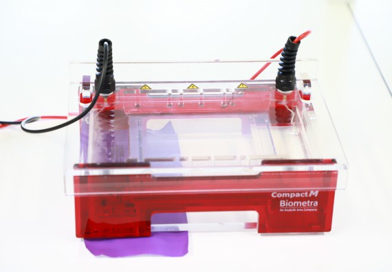 ภาพกิจกรรม  ศูนย์วิทยาศาสตร์และวิทยาศาสตร์ประยุกต์ จัดโครงการสัมมนาเชิงปฏิบัติการ PCR and Real-time PCR workflow Solution