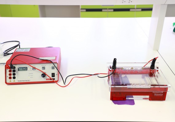 ภาพกิจกรรม  ศูนย์วิทยาศาสตร์และวิทยาศาสตร์ประยุกต์ จัดโครงการสัมมนาเชิงปฏิบัติการ PCR and Real-time PCR workflow Solution