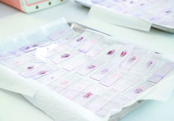 ภาพกิจกรรม   คณะวิทยาศาสตร์และเทคโนโลยี มหาวิทยาลัยราชภัฏกำแพงเพชร ร่วมกับโรงเรียนตากพิทยาคม กำหนดจัดกิจกรรมสร้างเสริมทักษะกระบวนการทางวิทยาศาสตร์สู่มาตรฐานสากล