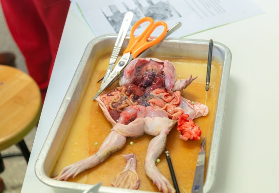 คณะวิทยาศาสตร์และเทคโนโลยี มหาวิทยาลัยราชภัฏกำแพงเพชร ร่วมกับกลุ่มสาระการเรียนรู้วิทยาศาสตร์และเทคโนโลยี โรงเรียนกำแพงเพชรพิทยาคม จัดกิจกรรมค่ายวิทยาศาสตร์นักเรียนห้องเรียนพิเศษวิทยาศาสตร์ ระดับชั้นมัธยมศึกษาปีที่ 2