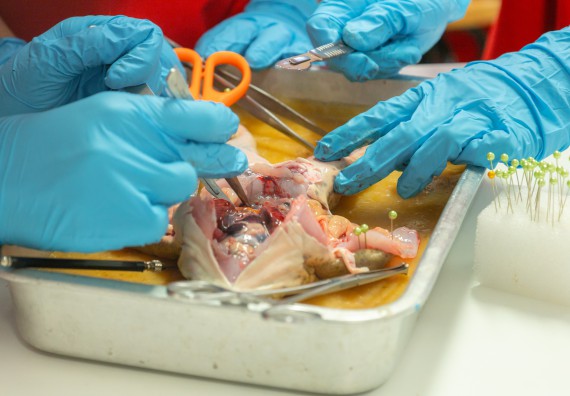 คณะวิทยาศาสตร์และเทคโนโลยี มหาวิทยาลัยราชภัฏกำแพงเพชร ร่วมกับกลุ่มสาระการเรียนรู้วิทยาศาสตร์และเทคโนโลยี โรงเรียนกำแพงเพชรพิทยาคม จัดกิจกรรมค่ายวิทยาศาสตร์นักเรียนห้องเรียนพิเศษวิทยาศาสตร์ ระดับชั้นมัธยมศึกษาปีที่ 2