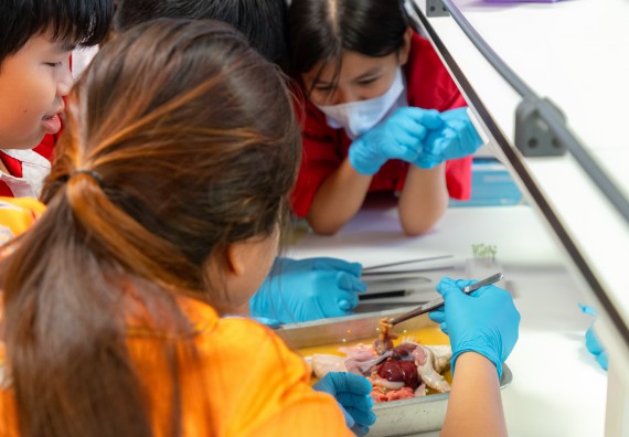 คณะวิทยาศาสตร์และเทคโนโลยี มหาวิทยาลัยราชภัฏกำแพงเพชร ร่วมกับกลุ่มสาระการเรียนรู้วิทยาศาสตร์และเทคโนโลยี โรงเรียนกำแพงเพชรพิทยาคม จัดกิจกรรมค่ายวิทยาศาสตร์นักเรียนห้องเรียนพิเศษวิทยาศาสตร์ ระดับชั้นมัธยมศึกษาปีที่ 2