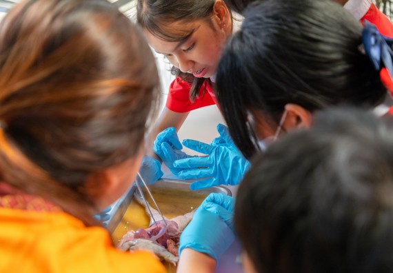 คณะวิทยาศาสตร์และเทคโนโลยี มหาวิทยาลัยราชภัฏกำแพงเพชร ร่วมกับกลุ่มสาระการเรียนรู้วิทยาศาสตร์และเทคโนโลยี โรงเรียนกำแพงเพชรพิทยาคม จัดกิจกรรมค่ายวิทยาศาสตร์นักเรียนห้องเรียนพิเศษวิทยาศาสตร์ ระดับชั้นมัธยมศึกษาปีที่ 2