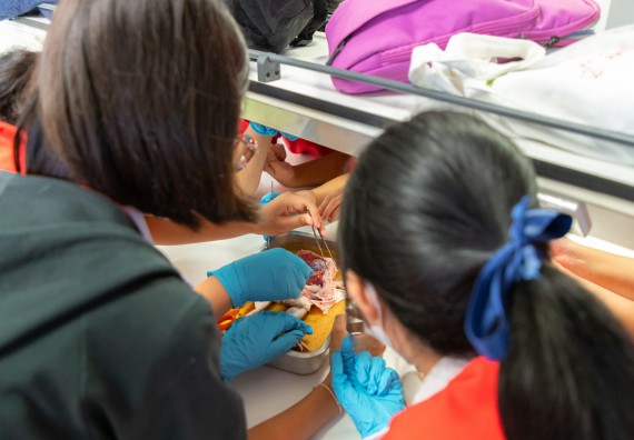 คณะวิทยาศาสตร์และเทคโนโลยี มหาวิทยาลัยราชภัฏกำแพงเพชร ร่วมกับกลุ่มสาระการเรียนรู้วิทยาศาสตร์และเทคโนโลยี โรงเรียนกำแพงเพชรพิทยาคม จัดกิจกรรมค่ายวิทยาศาสตร์นักเรียนห้องเรียนพิเศษวิทยาศาสตร์ ระดับชั้นมัธยมศึกษาปีที่ 2