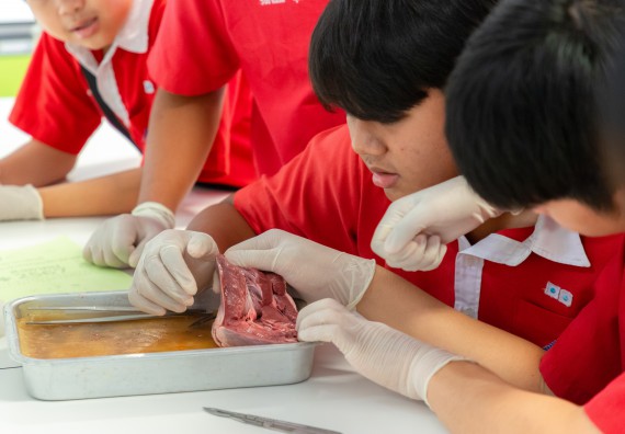 คณะวิทยาศาสตร์และเทคโนโลยี มหาวิทยาลัยราชภัฏกำแพงเพชร ร่วมกับกลุ่มสาระการเรียนรู้วิทยาศาสตร์และเทคโนโลยี โรงเรียนกำแพงเพชรพิทยาคม จัดกิจกรรมค่ายวิทยาศาสตร์นักเรียนห้องเรียนพิเศษวิทยาศาสตร์ ระดับชั้นมัธยมศึกษาปีที่ 2