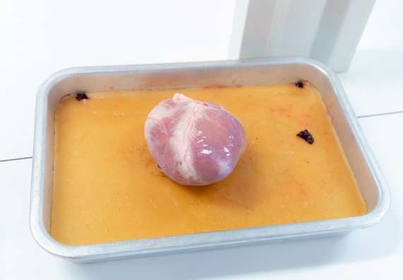 คณะวิทยาศาสตร์และเทคโนโลยี มหาวิทยาลัยราชภัฏกำแพงเพชร ร่วมกับกลุ่มสาระการเรียนรู้วิทยาศาสตร์และเทคโนโลยี โรงเรียนกำแพงเพชรพิทยาคม จัดกิจกรรมค่ายวิทยาศาสตร์นักเรียนห้องเรียนพิเศษวิทยาศาสตร์ ระดับชั้นมัธยมศึกษาปีที่ 2