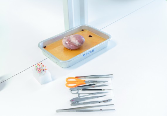 คณะวิทยาศาสตร์และเทคโนโลยี มหาวิทยาลัยราชภัฏกำแพงเพชร ร่วมกับกลุ่มสาระการเรียนรู้วิทยาศาสตร์และเทคโนโลยี โรงเรียนกำแพงเพชรพิทยาคม จัดกิจกรรมค่ายวิทยาศาสตร์นักเรียนห้องเรียนพิเศษวิทยาศาสตร์ ระดับชั้นมัธยมศึกษาปีที่ 2