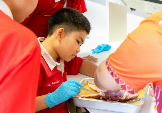 คณะวิทยาศาสตร์และเทคโนโลยี มหาวิทยาลัยราชภัฏกำแพงเพชร ร่วมกับกลุ่มสาระการเรียนรู้วิทยาศาสตร์และเทคโนโลยี โรงเรียนกำแพงเพชรพิทยาคม จัดกิจกรรมค่ายวิทยาศาสตร์นักเรียนห้องเรียนพิเศษวิทยาศาสตร์ ระดับชั้นมัธยมศึกษาปีที่ 2