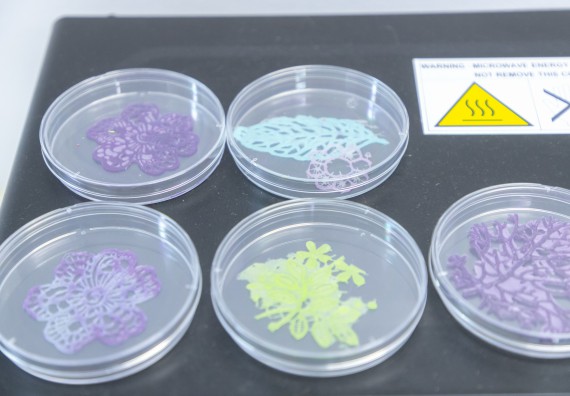 คณะวิทยาศาสตร์และเทคโนโลยี มหาวิทยาลัยราชภัฏกำแพงเพชร ร่วมกับกลุ่มสาระการเรียนรู้วิทยาศาสตร์และเทคโนโลยี โรงเรียนกำแพงเพชรพิทยาคม จัดกิจกรรมค่ายวิทยาศาสตร์นักเรียนห้องเรียนพิเศษวิทยาศาสตร์ ระดับชั้นมัธยมศึกษาปีที่ 2