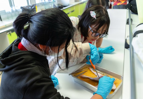 คณะวิทยาศาสตร์และเทคโนโลยี มหาวิทยาลัยราชภัฏกำแพงเพชร ร่วมกับกลุ่มสาระการเรียนรู้วิทยาศาสตร์และเทคโนโลยี โรงเรียนกำแพงเพชรพิทยาคม จัดกิจกรรมค่ายวิทยาศาสตร์นักเรียนห้องเรียนพิเศษวิทยาศาสตร์ ระดับชั้นมัธยมศึกษาปีที่ 2