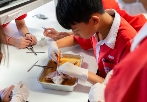 คณะวิทยาศาสตร์และเทคโนโลยี มหาวิทยาลัยราชภัฏกำแพงเพชร ร่วมกับกลุ่มสาระการเรียนรู้วิทยาศาสตร์และเทคโนโลยี โรงเรียนกำแพงเพชรพิทยาคม จัดกิจกรรมค่ายวิทยาศาสตร์นักเรียนห้องเรียนพิเศษวิทยาศาสตร์ ระดับชั้นมัธยมศึกษาปีที่ 2