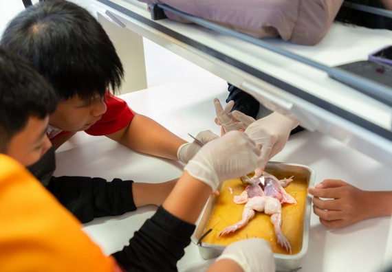 คณะวิทยาศาสตร์และเทคโนโลยี มหาวิทยาลัยราชภัฏกำแพงเพชร ร่วมกับกลุ่มสาระการเรียนรู้วิทยาศาสตร์และเทคโนโลยี โรงเรียนกำแพงเพชรพิทยาคม จัดกิจกรรมค่ายวิทยาศาสตร์นักเรียนห้องเรียนพิเศษวิทยาศาสตร์ ระดับชั้นมัธยมศึกษาปีที่ 2