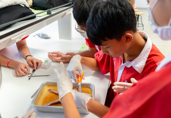 คณะวิทยาศาสตร์และเทคโนโลยี มหาวิทยาลัยราชภัฏกำแพงเพชร ร่วมกับกลุ่มสาระการเรียนรู้วิทยาศาสตร์และเทคโนโลยี โรงเรียนกำแพงเพชรพิทยาคม จัดกิจกรรมค่ายวิทยาศาสตร์นักเรียนห้องเรียนพิเศษวิทยาศาสตร์ ระดับชั้นมัธยมศึกษาปีที่ 2