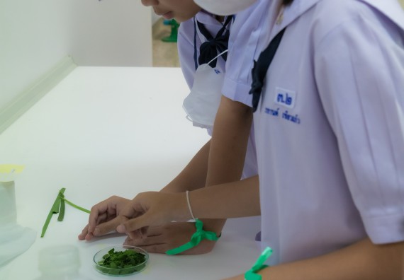 ภาพกิจกรรม  คณะวิทยาศาสตร์และเทคโนโลยี 