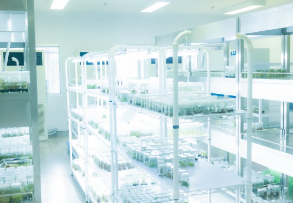 ภาพกิจกรรม  คณะวิทยาศาสตร์และเทคโนโลยี 