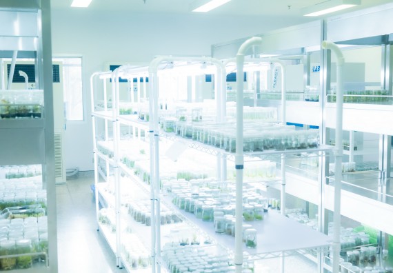 ภาพกิจกรรม  คณะวิทยาศาสตร์และเทคโนโลยี 