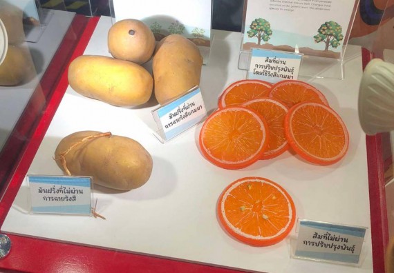 ภาพกิจกรรม  คณะวิทยาศาสตร์และเทคโนโลยี  จัดกิจกรรมศึกษาดูงานมหากรรมวิทยาศาสตร์และเทคโนโลยีแห่งชาติ ประจำปี 2567